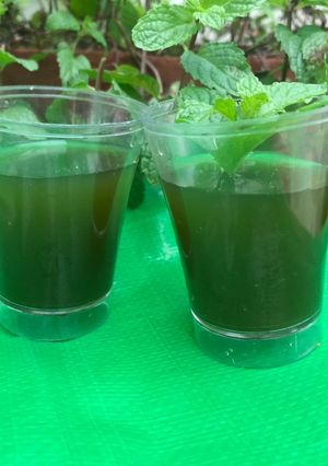 ફુદીના કોથમીર નું શરબત રેસીપી મુખ્ય ફોટો