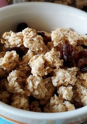 果乾蜂蜜燕麥脆片 的食譜成品照片