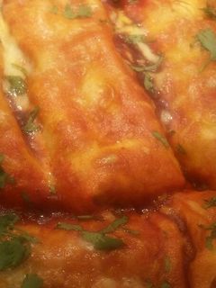 A picture of Burrito Enchiladas.