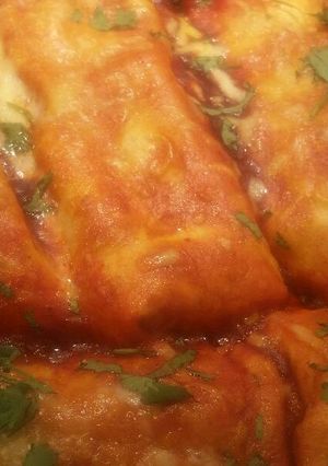 A picture of Burrito Enchiladas.
