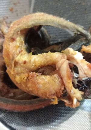 Foto resep Lele goreng simpel