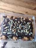 Brownie de nuez y manzana