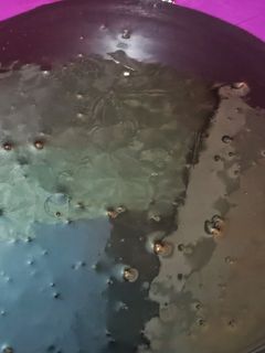 صورة لوصفة صوص الجناش اللامع الاقتصادي