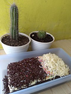 Foto resep Brownies KUKUS