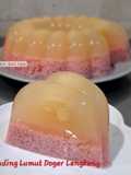 Puding Lumut Doger kombinasi Lengkeng