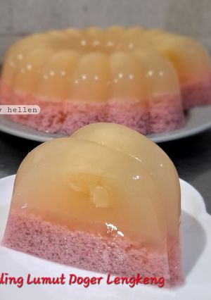Foto resep Puding Lumut Doger kombinasi Lengkeng