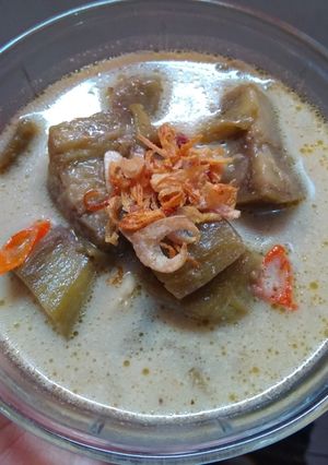 Foto resep 102. Lodeh terong simpel