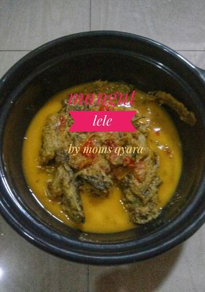 Foto resep 05. Mangut lele