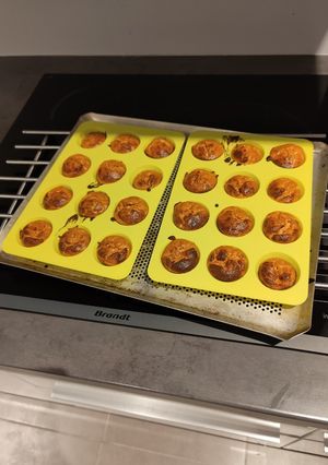Une photo de Bouchée de thon et tomates
