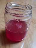 Sirup Kulit Buah Naga