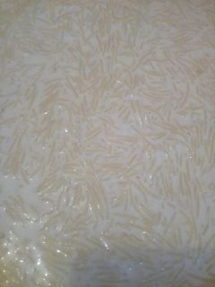 صورة لوصفة دويدة او فارميسال بالحليب 👌👌👌👌