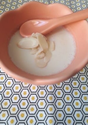 Une photo de Petit flan light au lait de soja