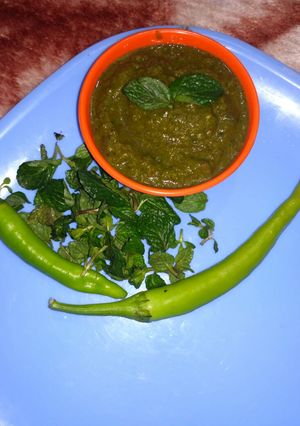 A picture of Mint(Pudina) chutney.