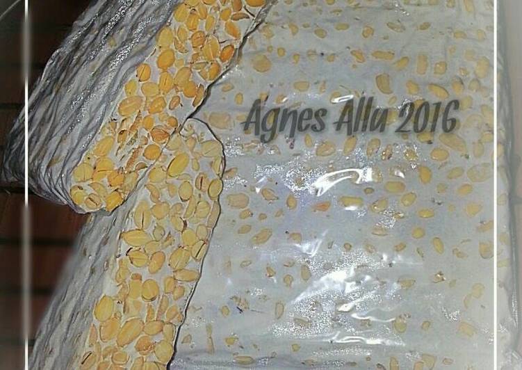 Tempe Buatan Rumah