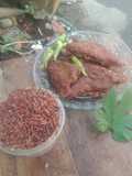 Tempe Beras Merah (bumbu lodeh ala Sumarmi kingking)