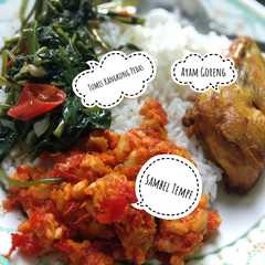 A picture of Ayam Goreng.