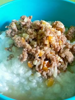 Foto resep Nasi Tim Daging Sapi Ketumbar (Mpasi 8+)