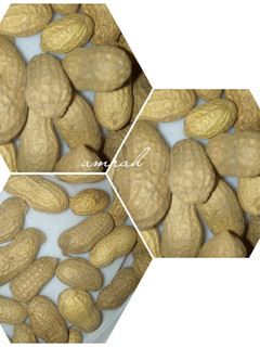 A picture of Suyar gyada.