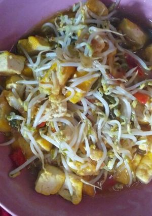Foto resep Tumis toge dan tahu. Mantap.