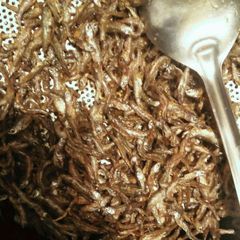A picture of Deep fried fresh herrings (omena mbichi).