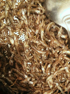 A picture of Deep fried fresh herrings (omena mbichi).