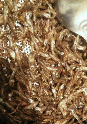 A picture of Deep fried fresh herrings (omena mbichi).