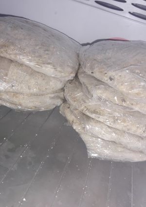 Una foto de Hamburguesas de lentejas para congelar