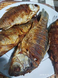 Фото Карасики с луком.