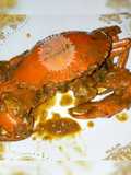Kepiting dan sedikit tipsnya