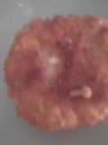 Tortitas nutritivas