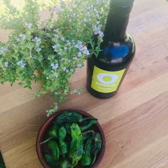 A picture of Padron Peppers 🌱.