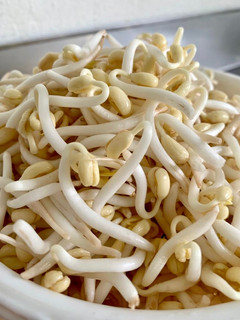 A picture of How to grow mung bean sprouts (and easy stir fry bean sprouts recipe).