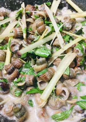 Hình của món Ốc len xào dừa.