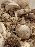 Raw mushroom salad gremolata