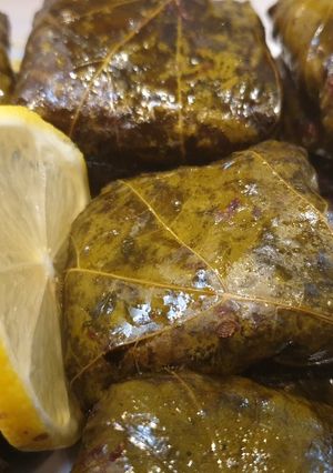 عکسی از دستور دلمه برگ مو
