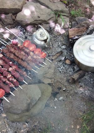 عکسی از دستور کباب گوشت دلبر