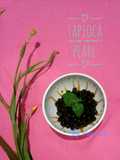 Tapioca Pearl (Mutiara Aci)