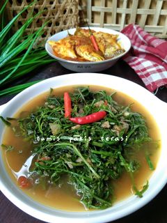 Foto resep Tumis pakis terasi