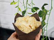 Una foto de muffin de frambuesa