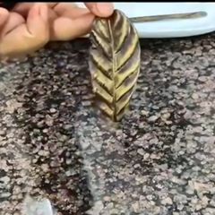 A picture of Chocolate leaves.