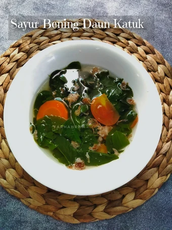 Cara Mudah Membuat Resep  Sayur Bening Daun Katuk yang Lezat Sekali, Lezat