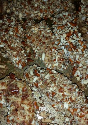 A picture of Pretzel Crusted Chicken.