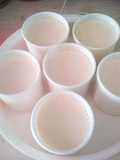 Yogur en yogurtera ochentera