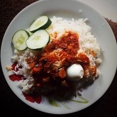 A picture of Rice and stew.