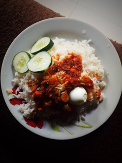 A picture of Rice and stew.