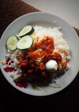 A picture of Rice and stew.