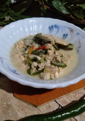 Foto resep Tempe Santan Cabe Ijo