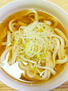 A picture of Homemade Udon.