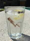 Agua Saborizada con Especias y Limón