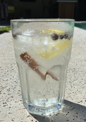 Una foto de Agua Saborizada con Especias y Limón